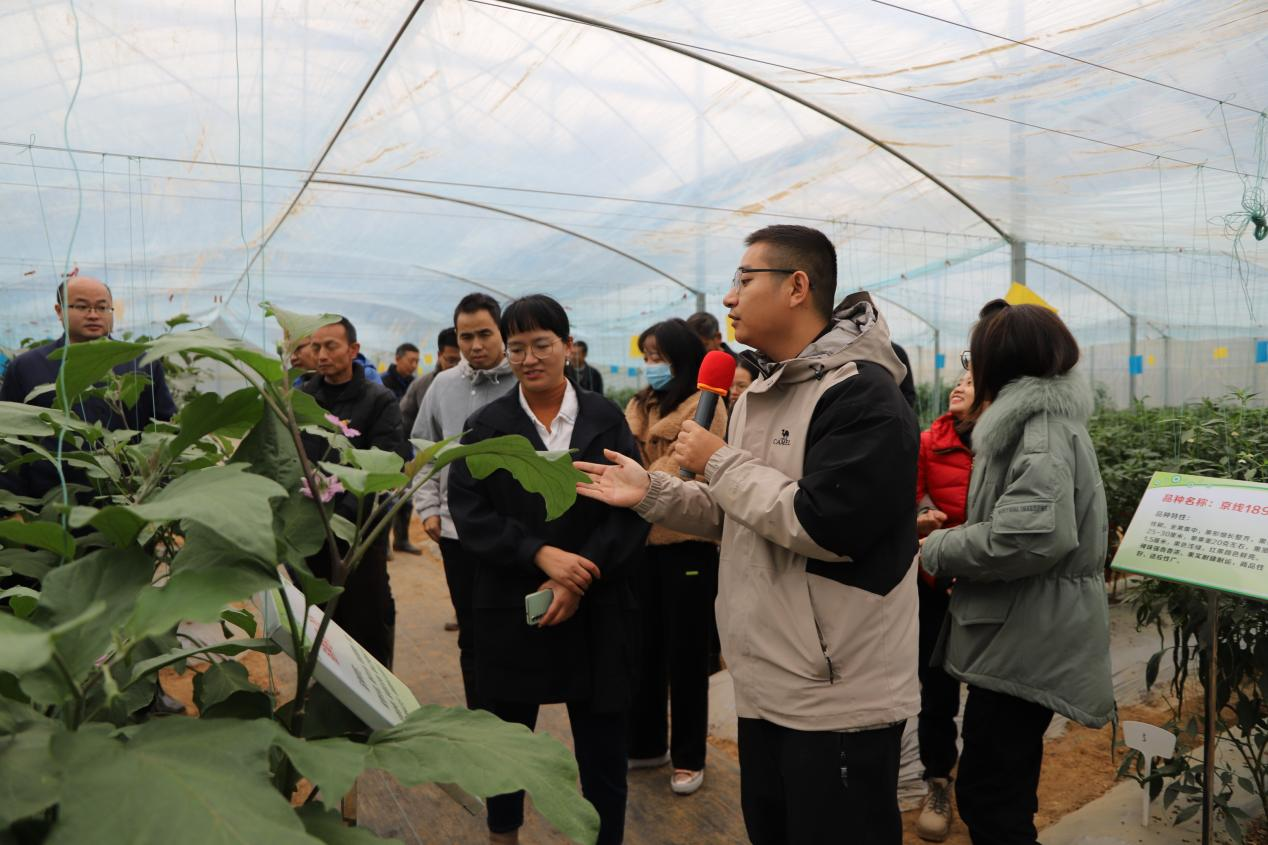 2022年赣州市第四届设施蔬菜新品种展示会在南康区龙华镇拉开帷幕