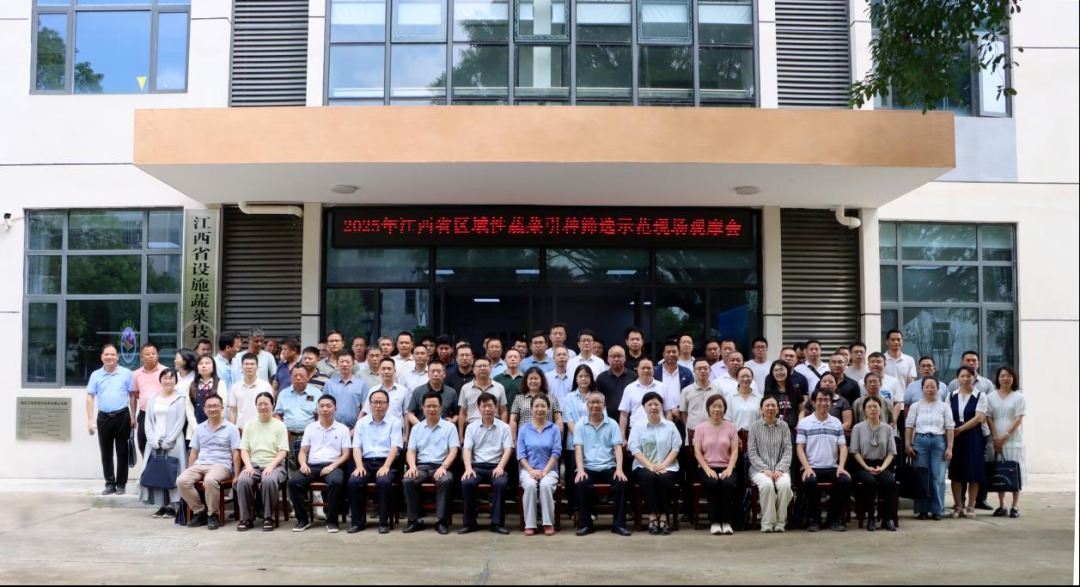 2025年省区域性蔬菜引种筛选示范现场观摩会在市蔬菜花卉所顺利举办