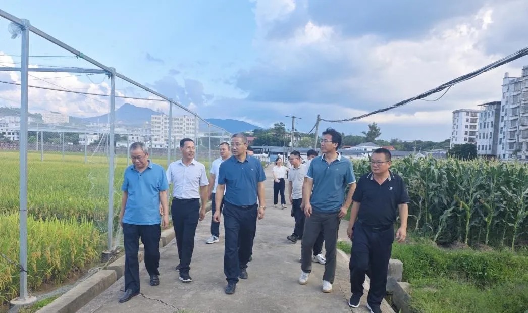 省农业农村厅种业管理处二级调研员贺国良在市农科所、市柑桔所调研